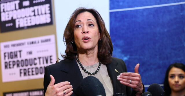 Fact Check: Kamala Harris Claims Trump ‘Did Nothing to Fix’ U.S. Immigration System