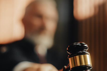 Ann Coulter: If It Please the Court, Who the Hell Asked You?